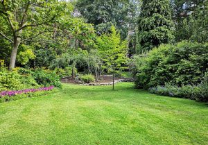 Optimiser l'expérience du jardin à Beaurecueil